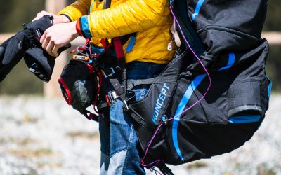Thoughts about ... back harness protection (Updated Jan. 2024)